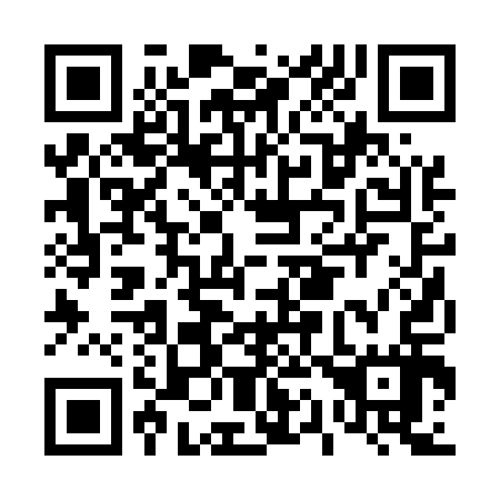 QR code for D12517