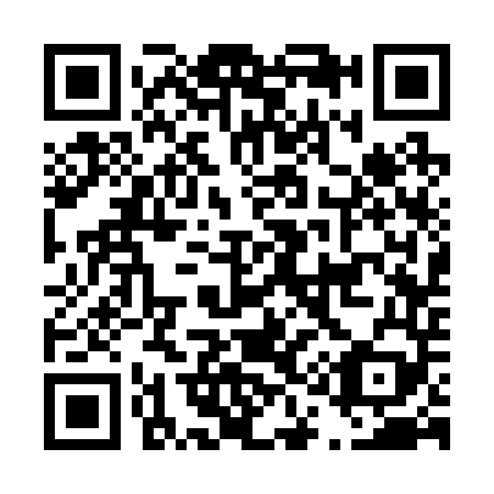 QR code for D13249