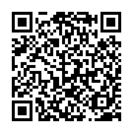 QR code for D13290