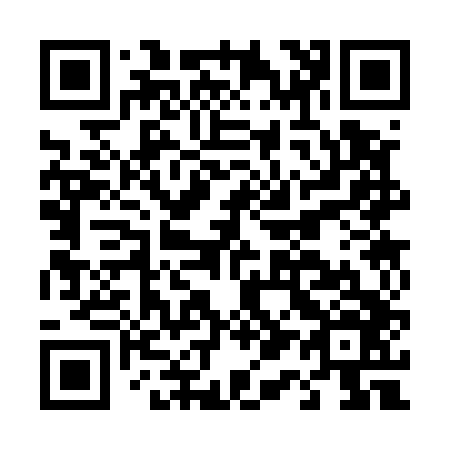 QR code for D13546
