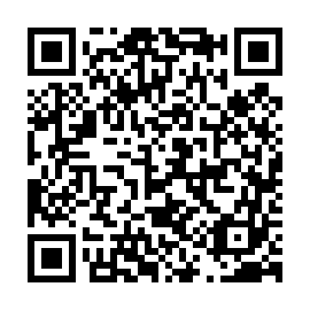 QR code for D16463