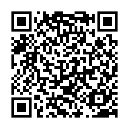 QR code for D17325