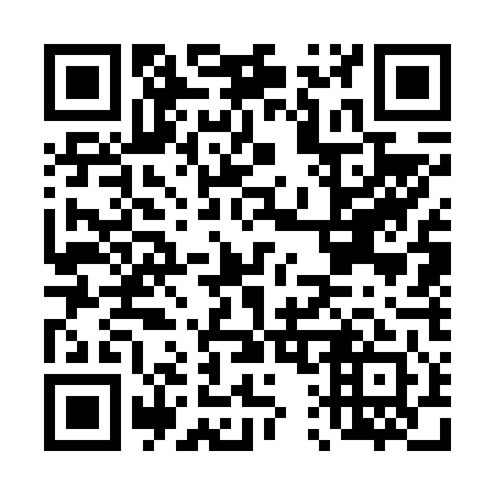 QR code for D17641