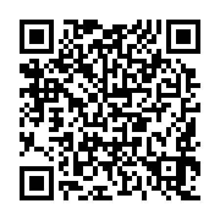 QR code for D19393