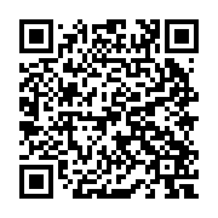 QR code for D29243