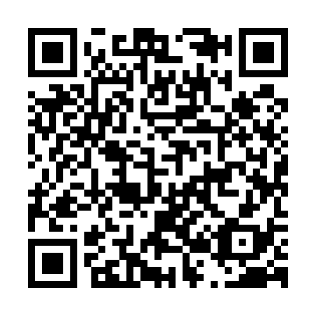 QR code for D29538