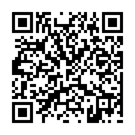 QR code for D33228