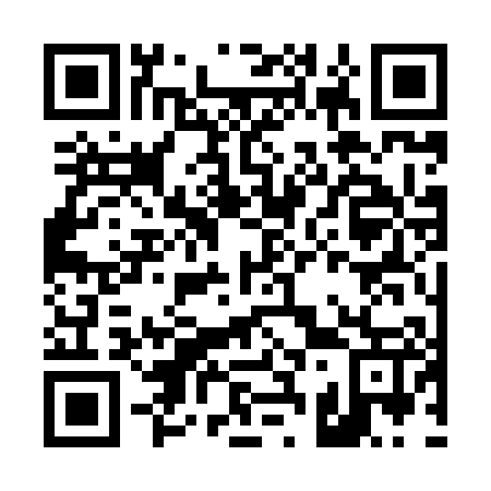 QR code for D33807