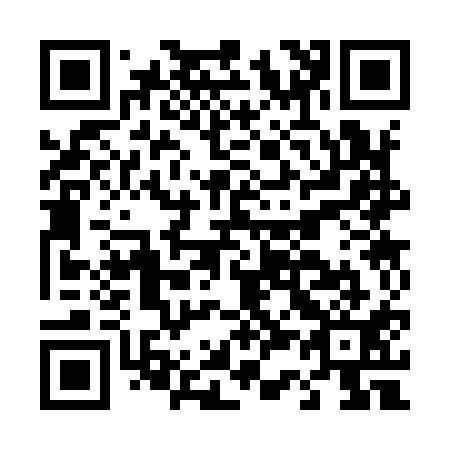 QR code for D33911