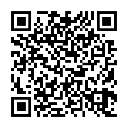 QR code for D41729