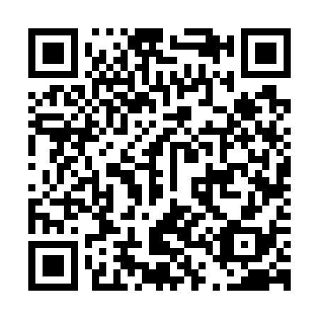 QR code for D46738