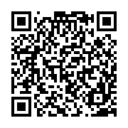 QR code for D51196