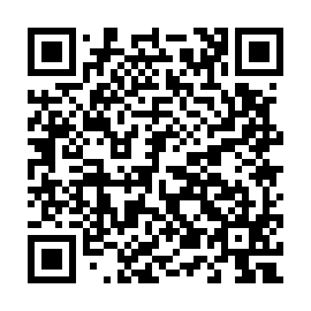 QR code for D51595