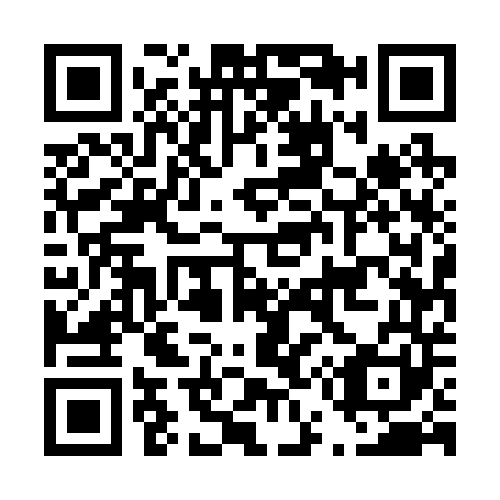 QR code for D55241