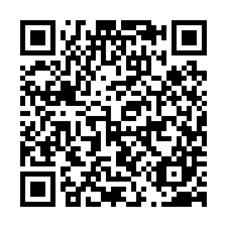 QR code for D55287