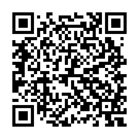 QR code for D55381