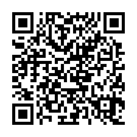 QR code for D56335