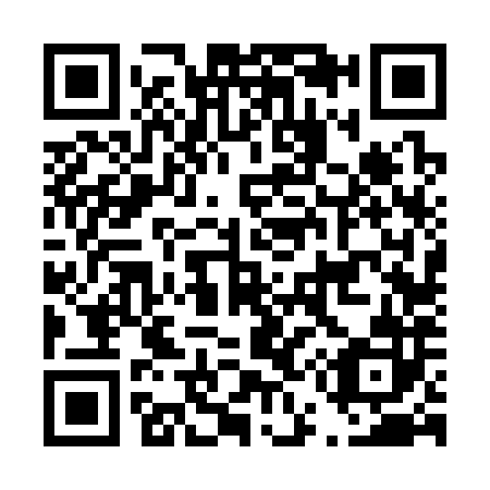 QR code for D56382