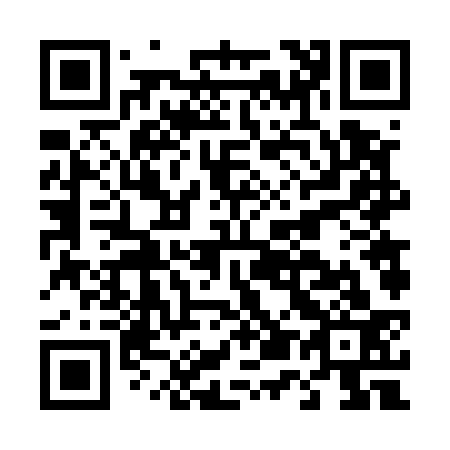 QR code for D56533