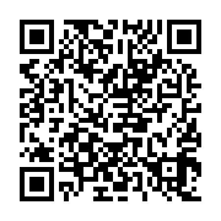 QR code for D56919