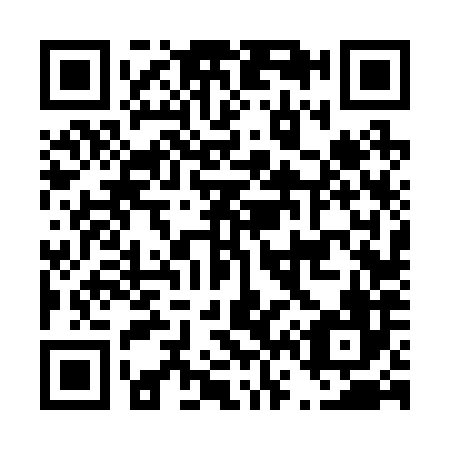 QR code for D66286