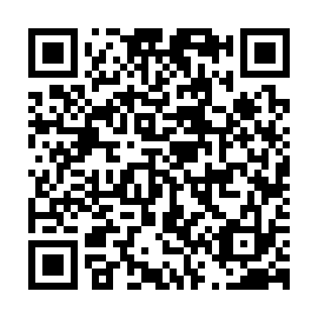 QR code for D66333