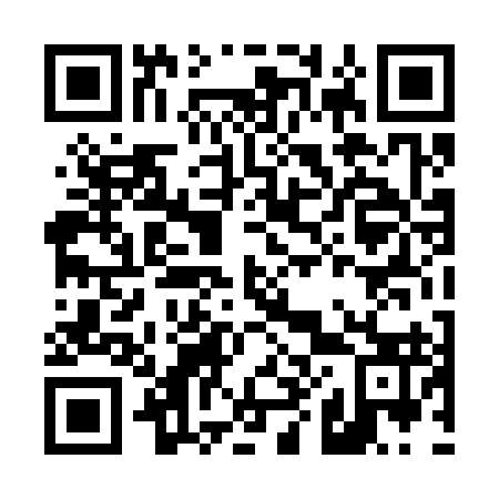 QR code for D84393