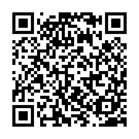 QR code for D85041