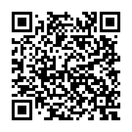 QR code for D90517