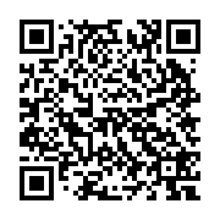 QR code for D95228
