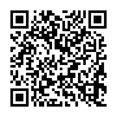 QR code for D95878