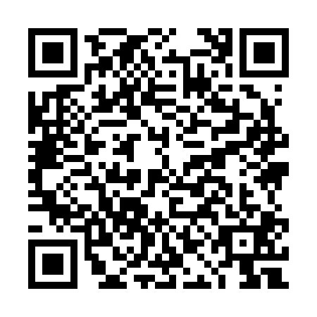 QR code for DAI-2010