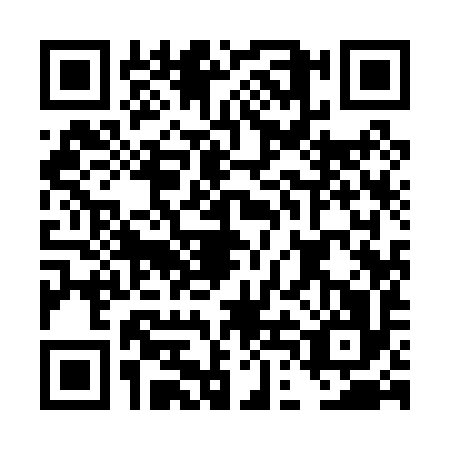 QR code for DDI-0969