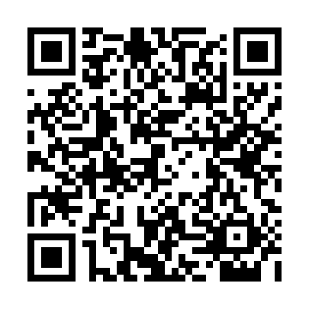 QR code for DDL-4919