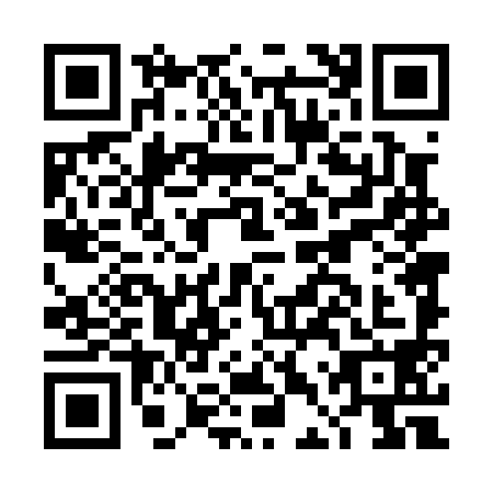 QR code for DDT-0985