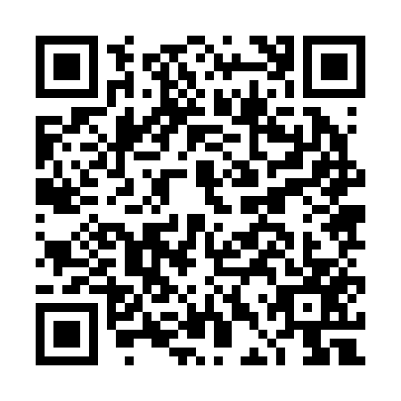 QR code for plate DDZ-2577