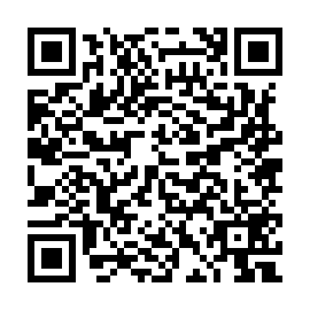 QR code for DDZ9597