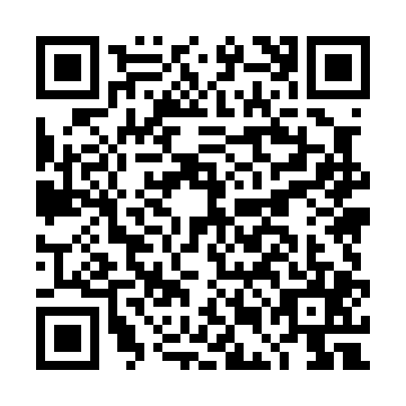 QR code for DEM0050