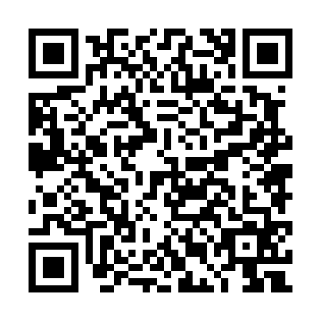QR code for DEN-4641