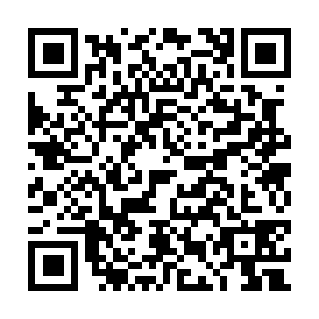 QR code for plate DES-0381