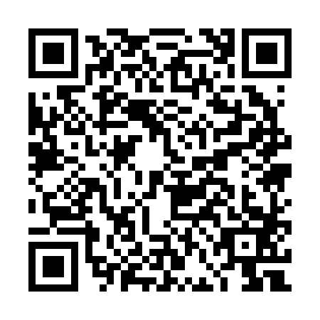 QR code for DFA2833