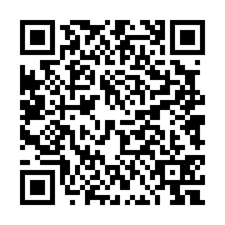 QR code for DFD0313