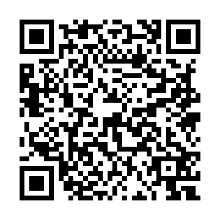 QR code for DFQ-9228