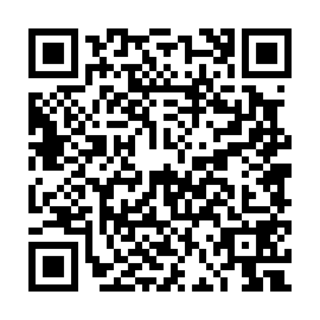 QR code for DFT0587