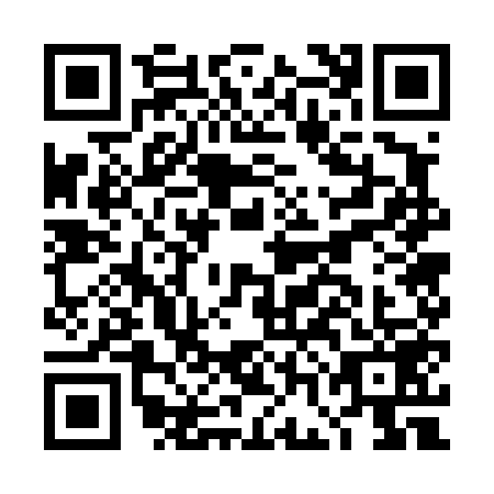 QR code for plate DGG-4590