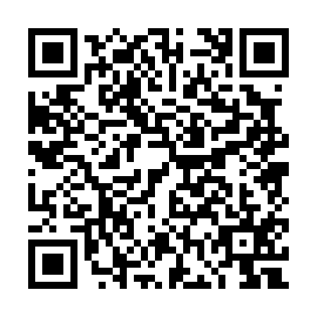 QR code for DGP-0153