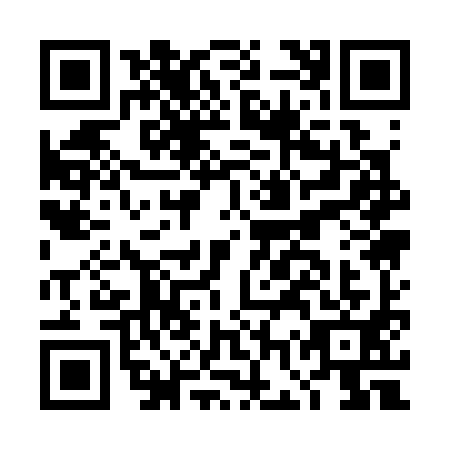 QR code for plate DGQ-3919
