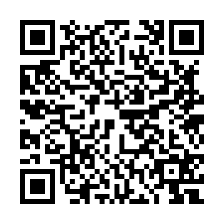 QR code for plate DGS-8249