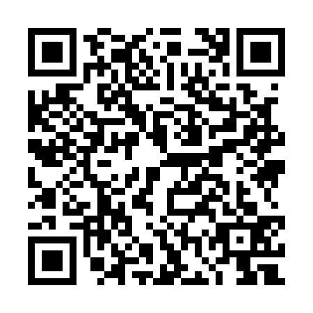 QR code for DGY-1339