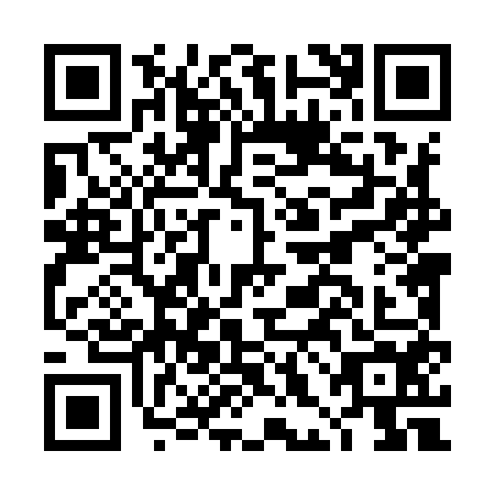 QR code for DHL9541